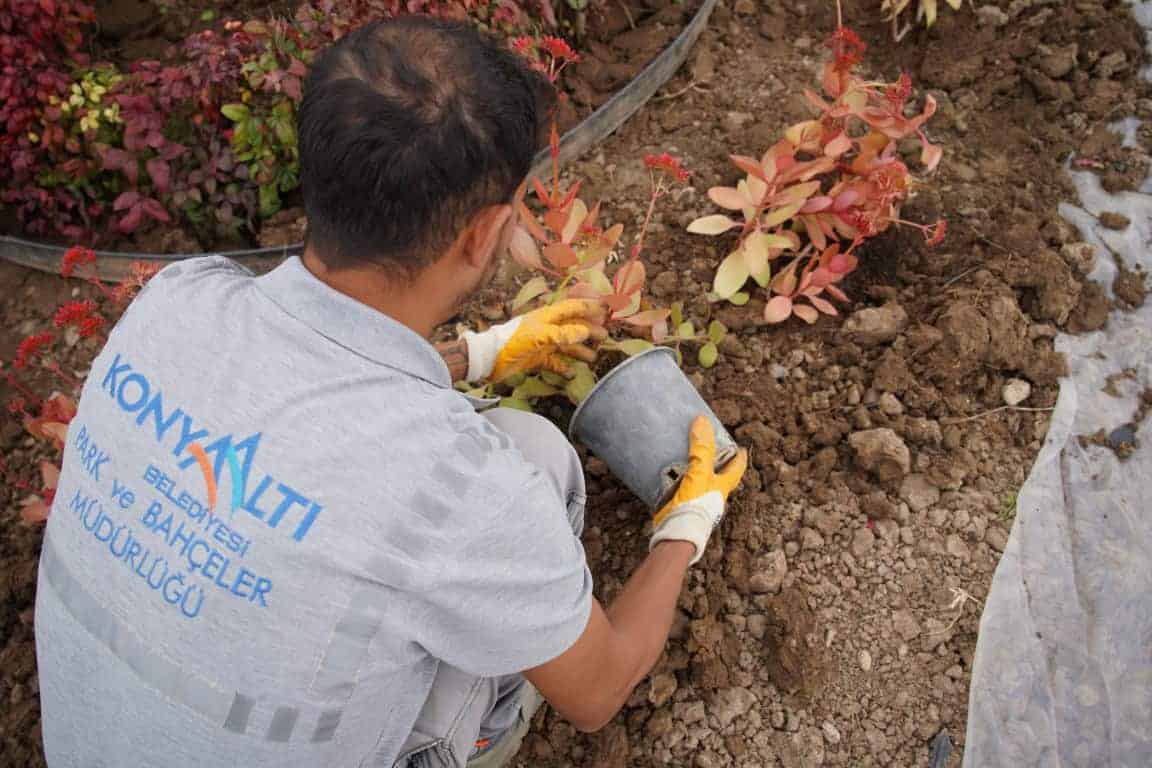 Konyaaltı’ndaki Kavşaklarda Çevre Dostu Peyzaj ve Su Tasarrufunu Önceleyen Düzenleme