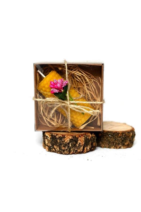 Muratpaşa Belediyesi’nden 8 Mart’ta Bal Mumu ile Mum Yapımı Atölyesi