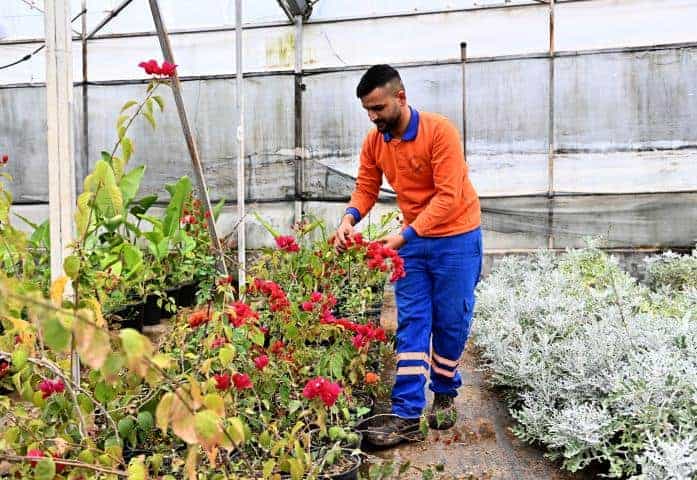 Muratpaşa Belediyesi, Ermenek’te Kendi Kaynaklarıyla Bitki Üretimi Yapıyor