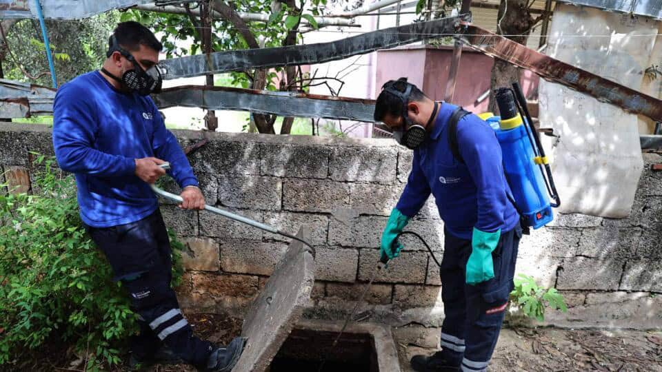 Büyükşehir Belediyesi, Antalya genelinde sinek ve haşere üreme alanlarında etkin mücadele yürütüyor